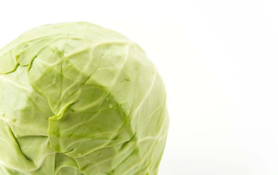 White cabbage with no prospects for better prices