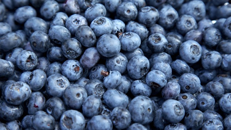 Wild Blueberries – Low Supply, High Demand, and Prices?
