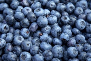 Wild Blueberries – Low Supply, High Demand, and Prices?