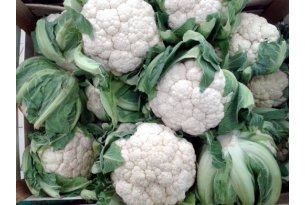Will Cauliflower Prices Rise?