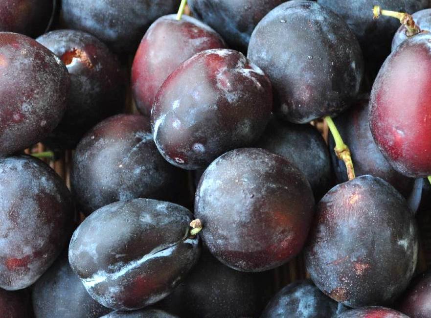 Will Plum Prices Fall Further?