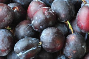 Will Plum Prices Fall Further?