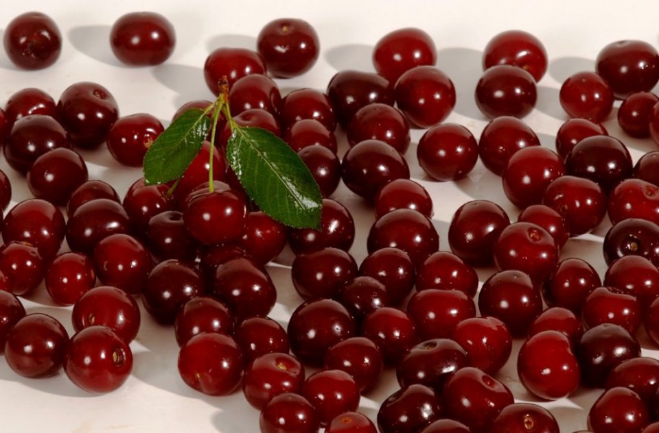Will Sour Cherry Purchase Prices Rebound?