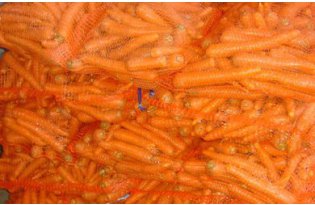Young Carrots Are Getting Cheaper, But…
