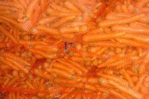 Young Carrots Are Getting Cheaper, But…