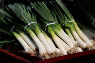 Young leeks are getting cheaper, but with resistance. What about prices for 'old' leeks?