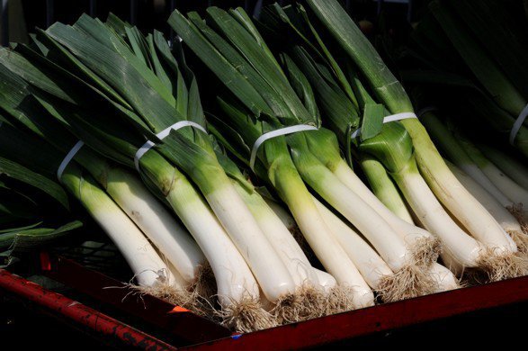 Young leeks are getting cheaper, but with resistance. What about prices for 'old' leeks?