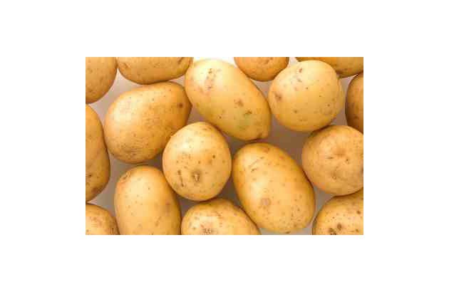 Young Potato Prices on a Rollercoaster