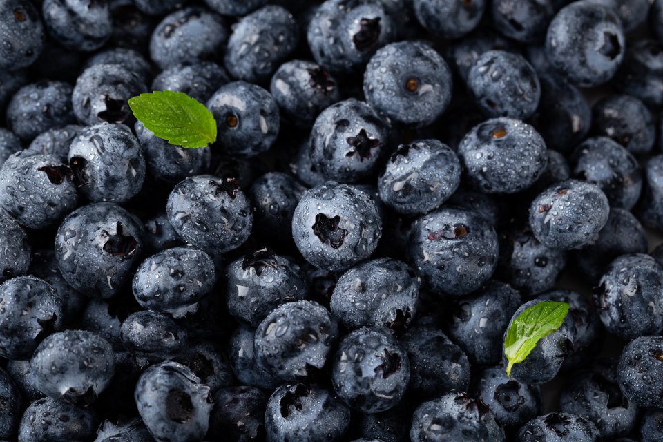 Imports of highbush blueberries to Poland may be high again