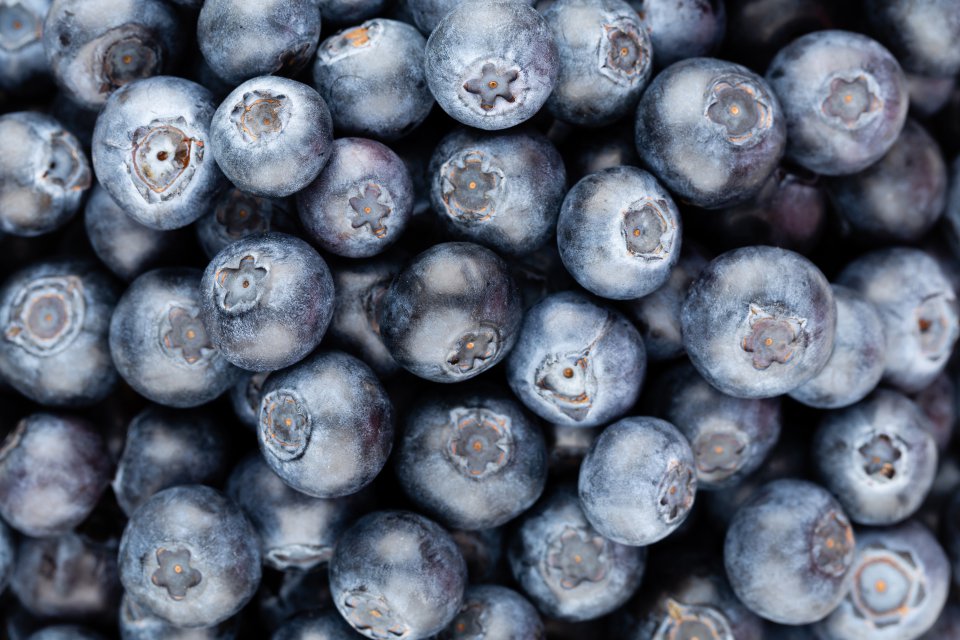 Exports of highbush blueberries from Poland in 2021