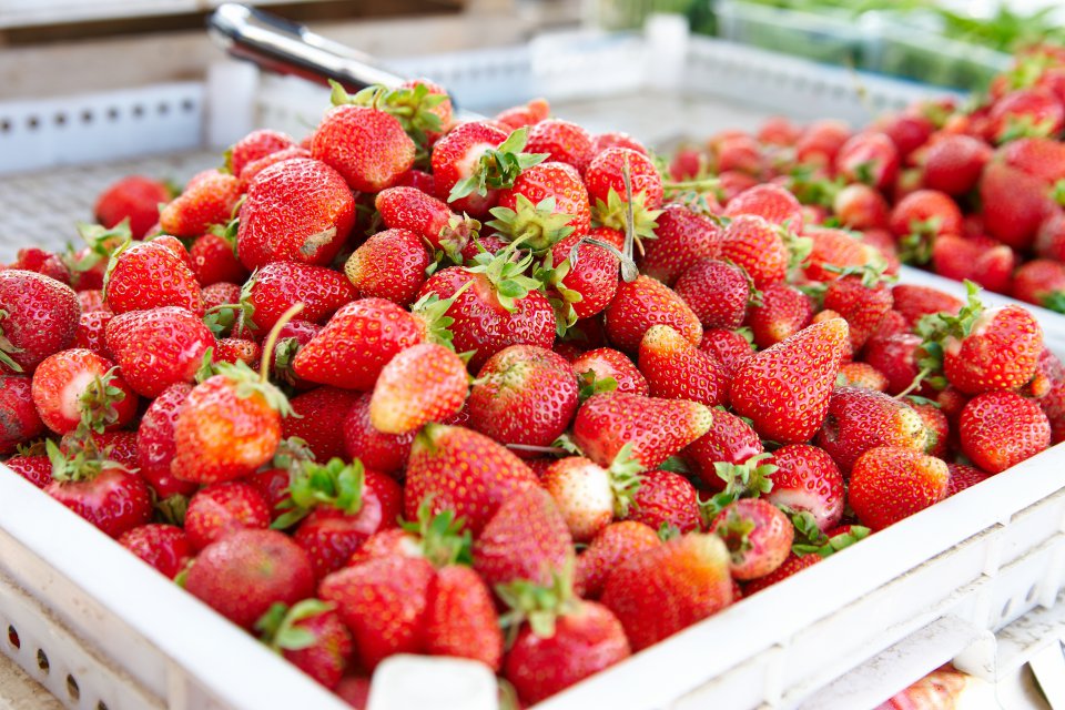 It will be a very difficult season for Polish strawberries