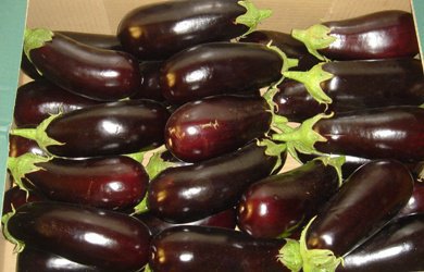 A growing offer of native greenhouse vegetables on the Polish market