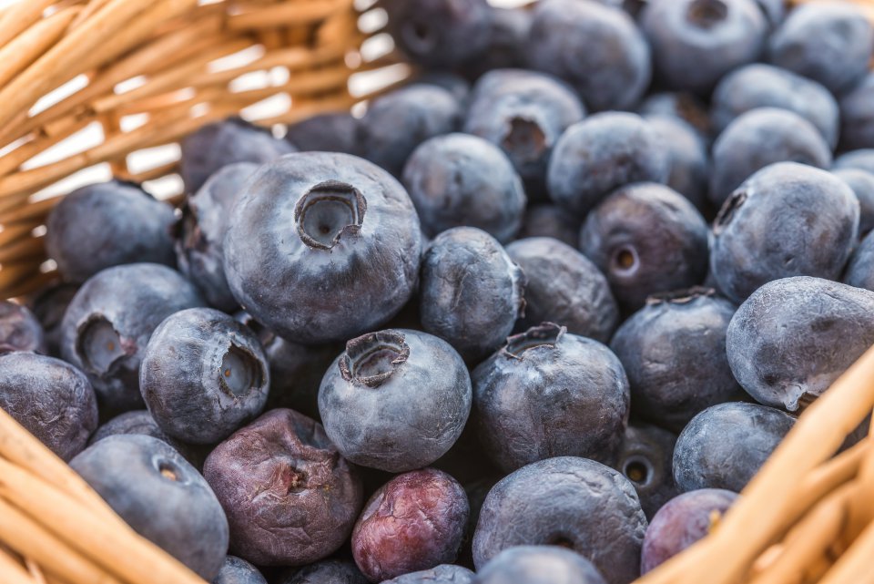 Current situation with blueberry prices on the Polish market
