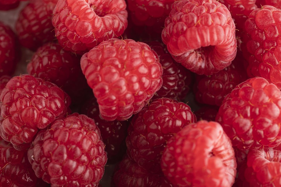 Prices of raspberries for processing in Poland are knocking down