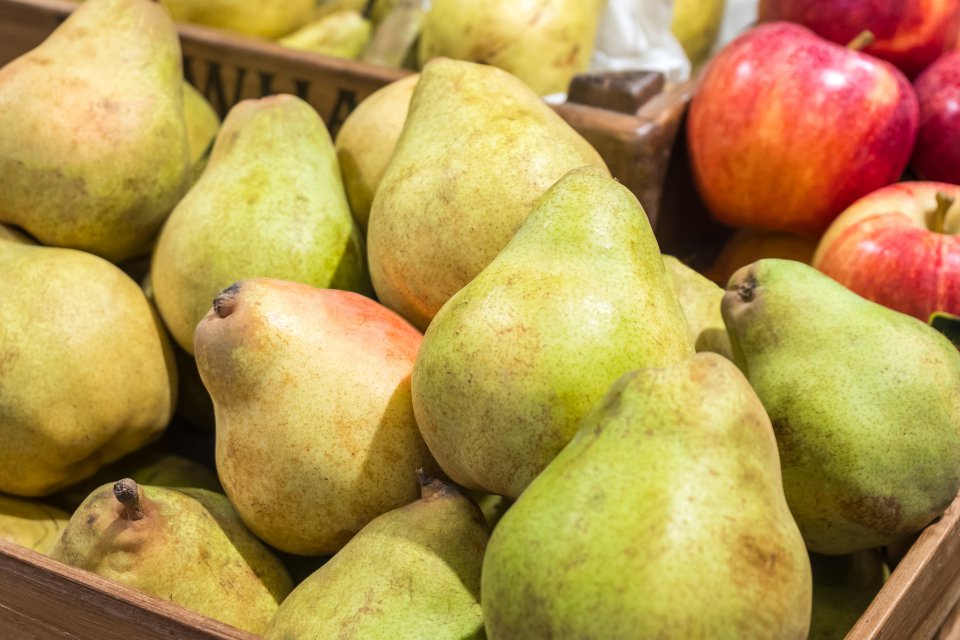 Demand for pears consistently high in Poland