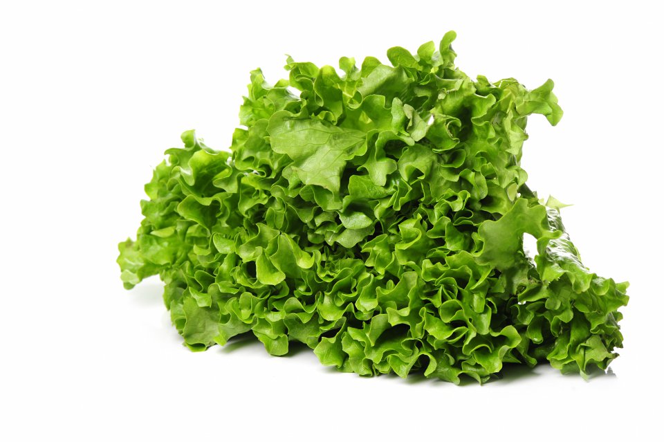 Lettuce exports from Poland in 2021