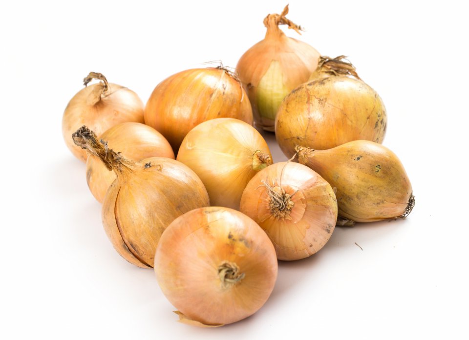 Onion market situation in Poland 