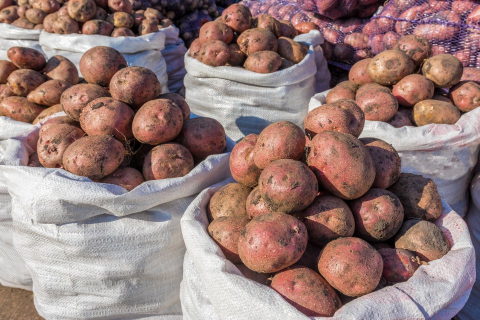 Potatoes in Poland- is demand reviving?