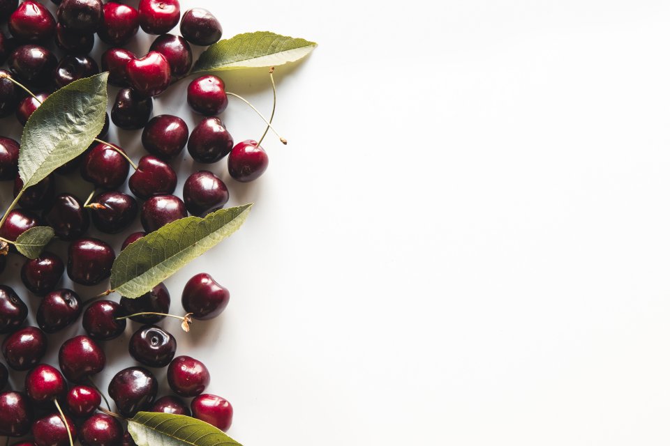 Sour cherry purchasing is gaining momentum on the Polish market
