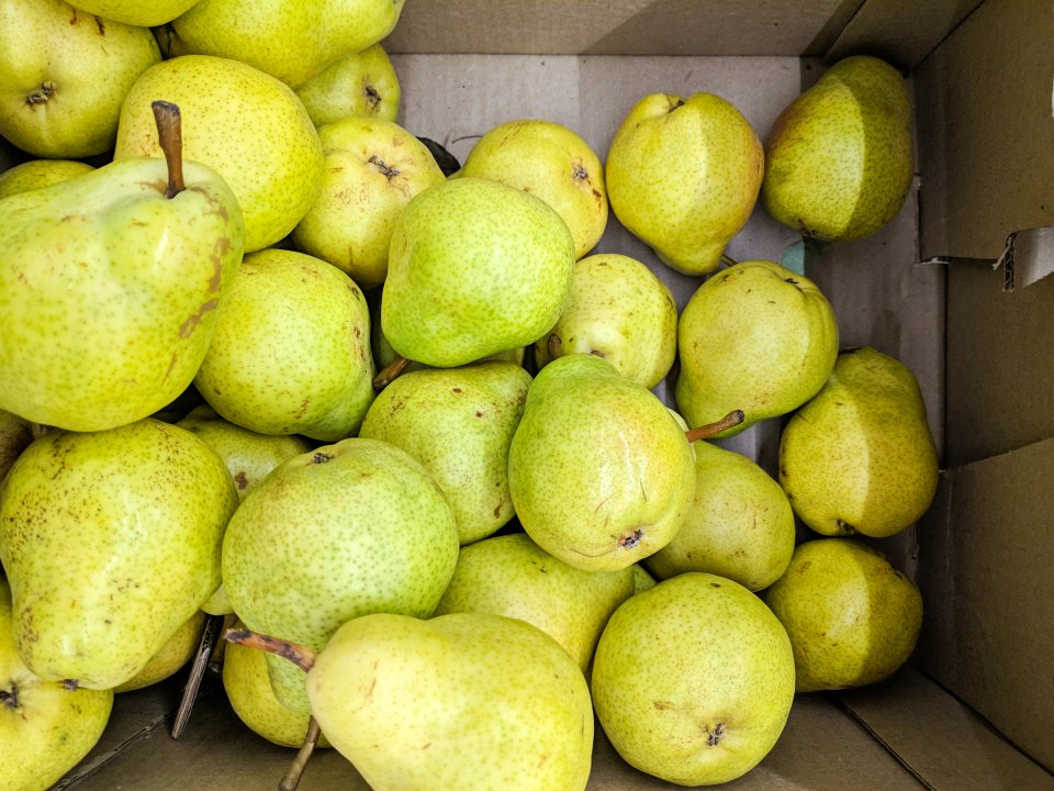 WAPA - pear stocks, May 2021.