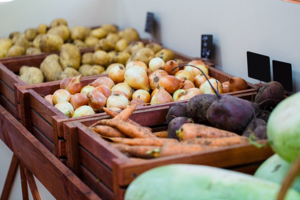 Import of onion to Poland in Q1 2021