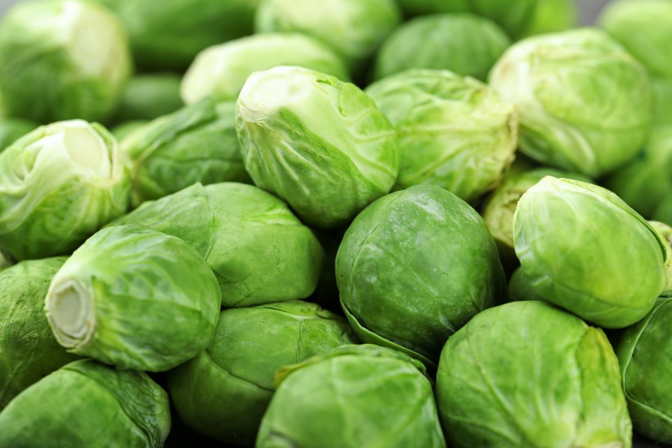 Autumn is the time for Brussels sprouts in Poland