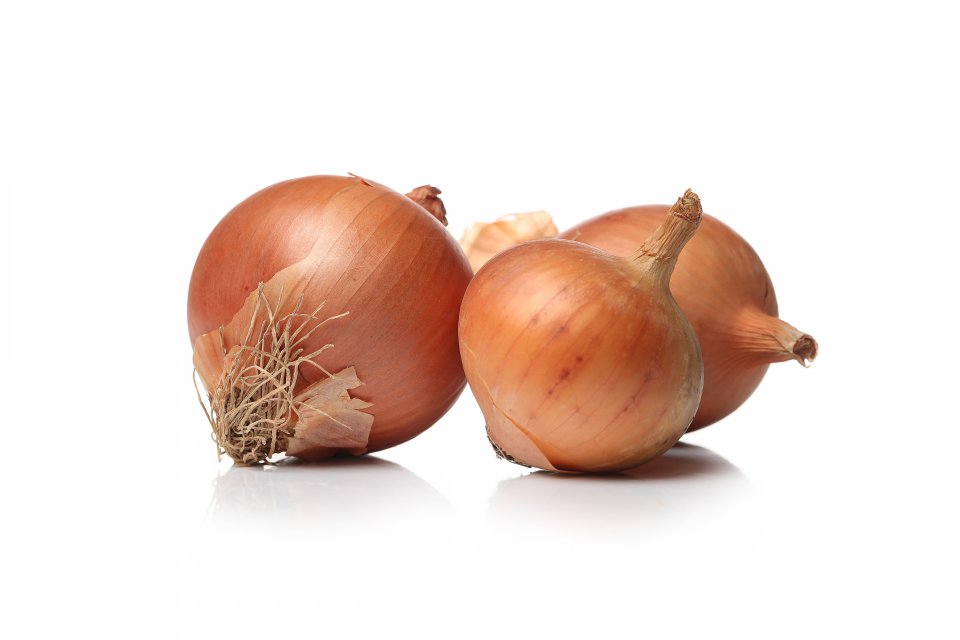 Export of onion from Poland in the first quarter of 2021