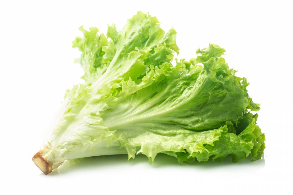 Lettuce exports from Poland in 2020 based on GUS data