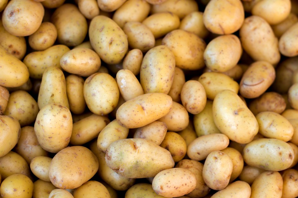 Foreign trade in potatoes in Poland in the season 2020/2021 